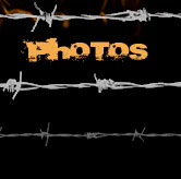 Bubbas Bull Riding Photos