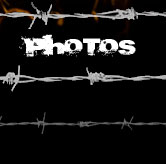 Bubbas Bull Riding Photos