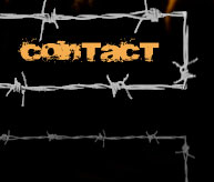 Contact Big Bubbas Bull Riding